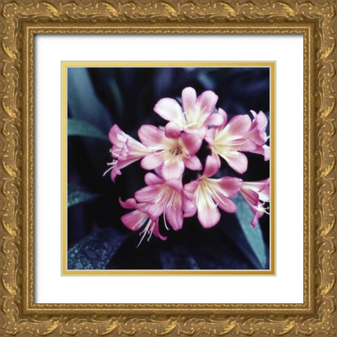 Pink Blossom Gold Ornate Wood Framed Art Print with Double Matting by PhotoINC Studio