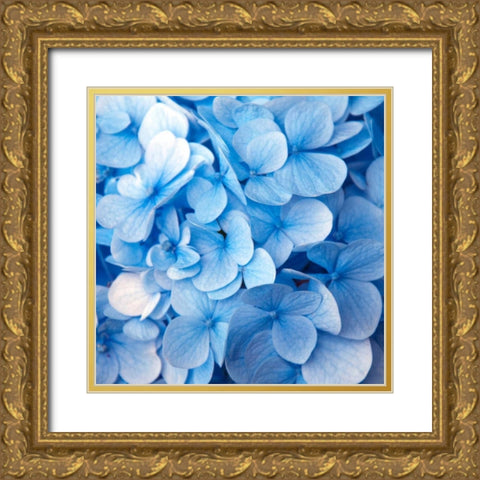 Blue Flowers Gold Ornate Wood Framed Art Print with Double Matting by PhotoINC Studio