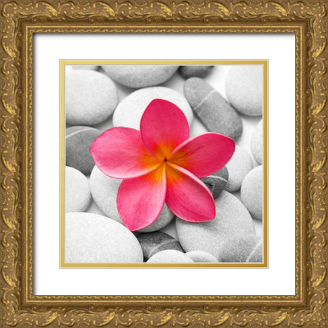 Zen Flower Gold Ornate Wood Framed Art Print with Double Matting by PhotoINC Studio