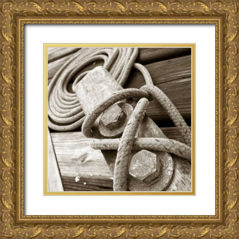 Knots and Bolts Gold Ornate Wood Framed Art Print with Double Matting by PhotoINC Studio