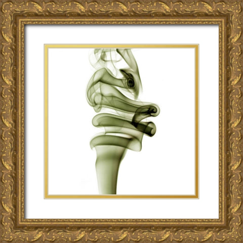 Smoke Gold Ornate Wood Framed Art Print with Double Matting by PhotoINC Studio