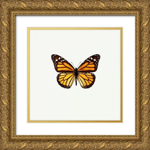 Yellow Butterfly Gold Ornate Wood Framed Art Print with Double Matting by PhotoINC Studio
