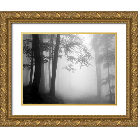 Woods Gold Ornate Wood Framed Art Print with Double Matting by PhotoINC Studio