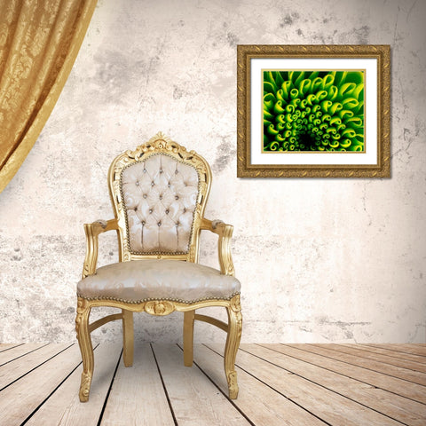 Green Design Gold Ornate Wood Framed Art Print with Double Matting by PhotoINC Studio