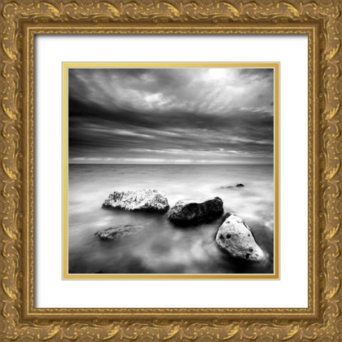Rocks on Beach Gold Ornate Wood Framed Art Print with Double Matting by PhotoINC Studio