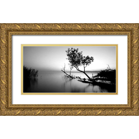 Great Lake Gold Ornate Wood Framed Art Print with Double Matting by PhotoINC Studio