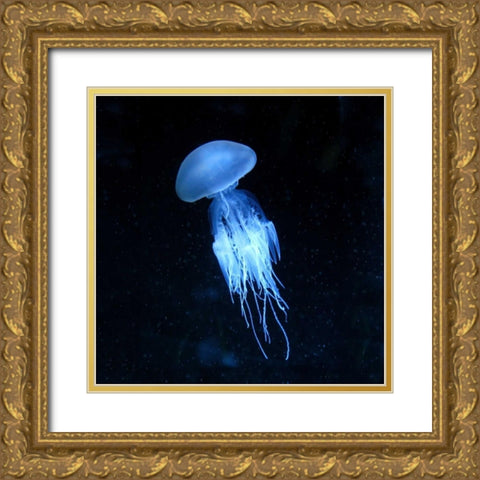 Luminescent Jellyfish Gold Ornate Wood Framed Art Print with Double Matting by PhotoINC Studio