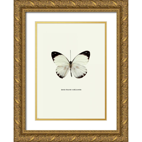 White Butterfly Gold Ornate Wood Framed Art Print with Double Matting by GraphINC