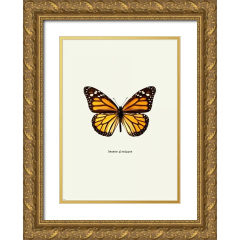 Yellow Butterfly Gold Ornate Wood Framed Art Print with Double Matting by GraphINC