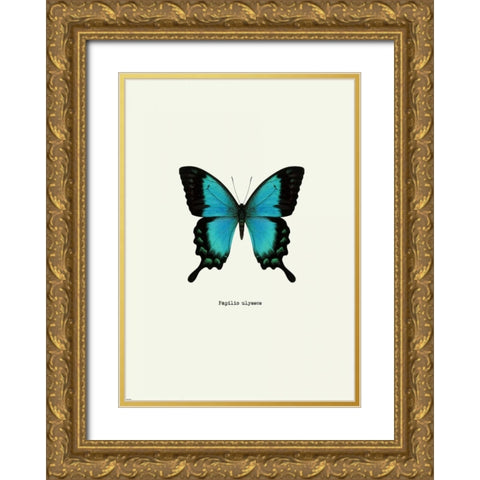 Blue Butterfly Gold Ornate Wood Framed Art Print with Double Matting by GraphINC