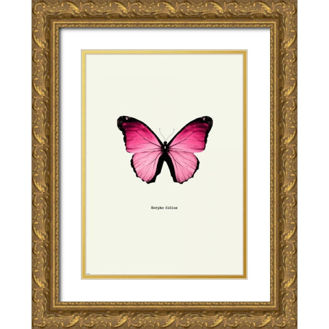 Pink Butterfly Gold Ornate Wood Framed Art Print with Double Matting by GraphINC