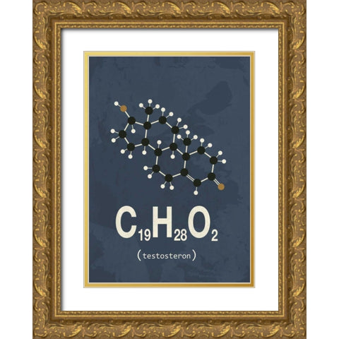 Molecule Testosterone Gold Ornate Wood Framed Art Print with Double Matting by TypeLike