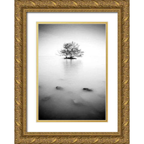 In the mist Gold Ornate Wood Framed Art Print with Double Matting by PhotoINC Studio