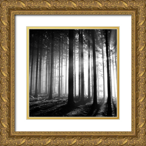 Wood Light Gold Ornate Wood Framed Art Print with Double Matting by PhotoINC Studio