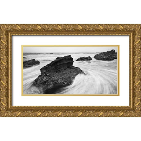 Beach Rocks Gold Ornate Wood Framed Art Print with Double Matting by PhotoINC Studio