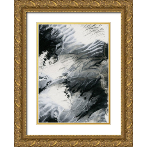 Dark Clouds Gold Ornate Wood Framed Art Print with Double Matting by Incado