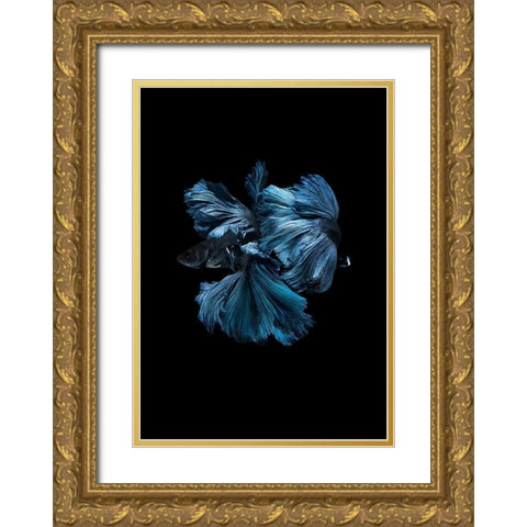 Blue Betta Gold Ornate Wood Framed Art Print with Double Matting by Incado