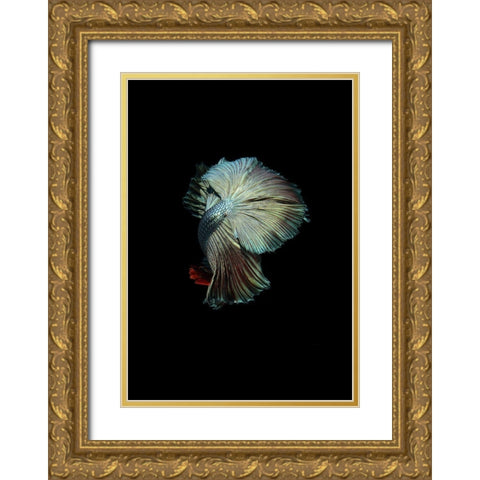 Turquoise and Red Betta Gold Ornate Wood Framed Art Print with Double Matting by Incado