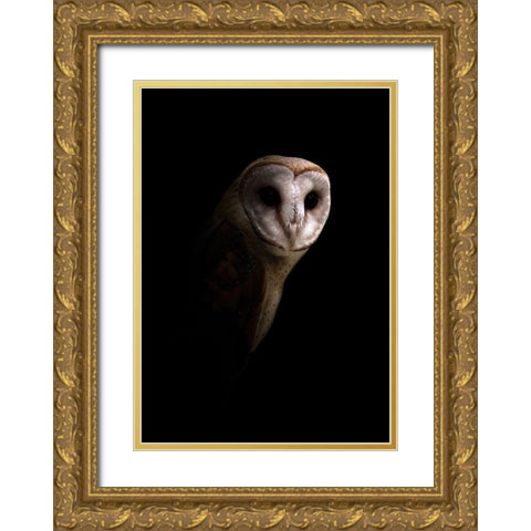Owl Gold Ornate Wood Framed Art Print with Double Matting by Incado
