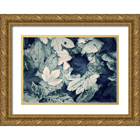 Forest Floor Gold Ornate Wood Framed Art Print with Double Matting by Incado