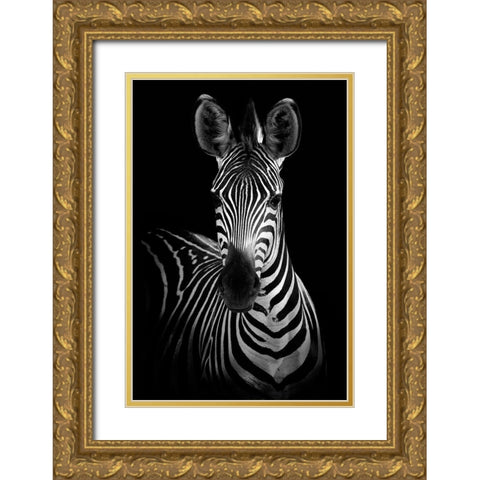 Zebra Gold Ornate Wood Framed Art Print with Double Matting by Incado