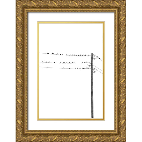 Birds on Wires Gold Ornate Wood Framed Art Print with Double Matting by Incado