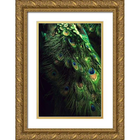 Peacock Tail Gold Ornate Wood Framed Art Print with Double Matting by Incado