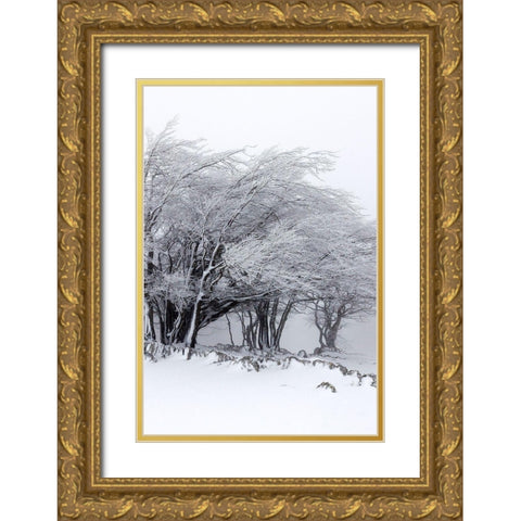 Winter Storm Gold Ornate Wood Framed Art Print with Double Matting by Incado