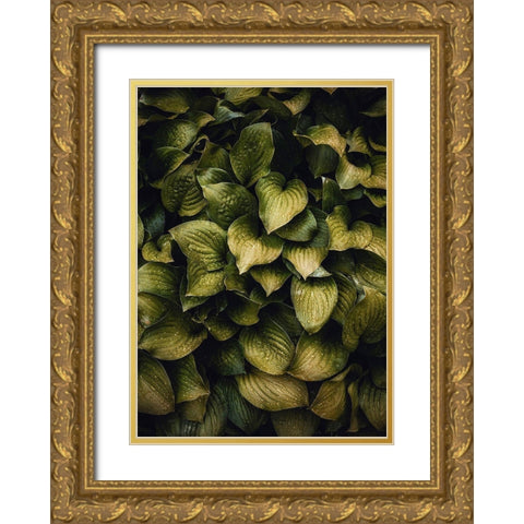 Hostas Leaves Gold Ornate Wood Framed Art Print with Double Matting by Incado