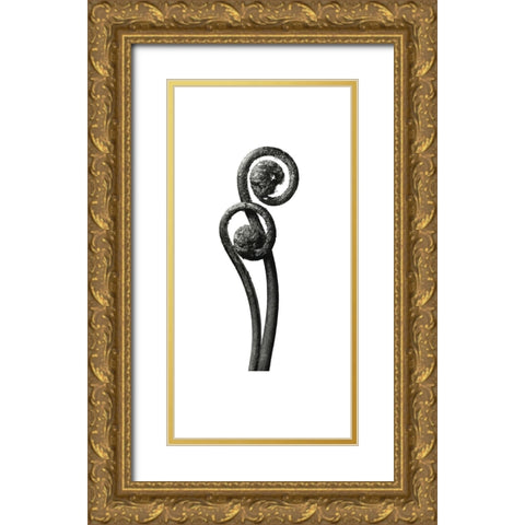 Blossfeldt Botanical No. 3 Gold Ornate Wood Framed Art Print with Double Matting by Incado