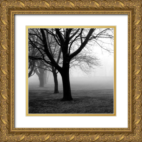 Trees Gold Ornate Wood Framed Art Print with Double Matting by PhotoINC Studio