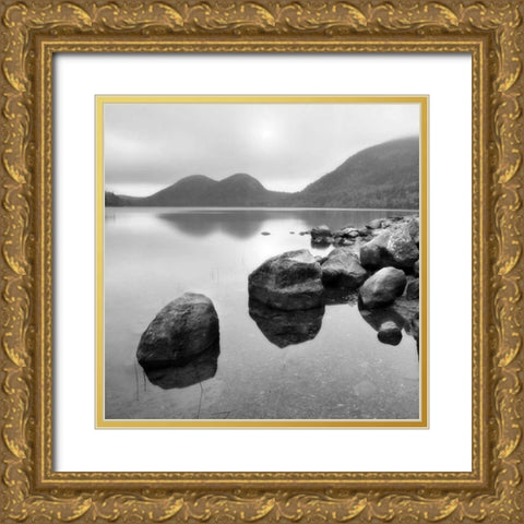 Silent Lake Gold Ornate Wood Framed Art Print with Double Matting by PhotoINC Studio