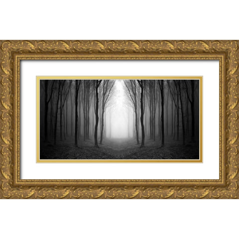 Dark Woods Gold Ornate Wood Framed Art Print with Double Matting by PhotoINC Studio