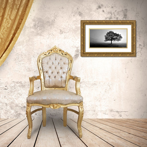 Tree in Mist Gold Ornate Wood Framed Art Print with Double Matting by PhotoINC Studio