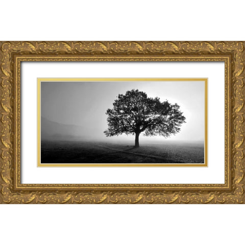 Tree in Mist Gold Ornate Wood Framed Art Print with Double Matting by PhotoINC Studio