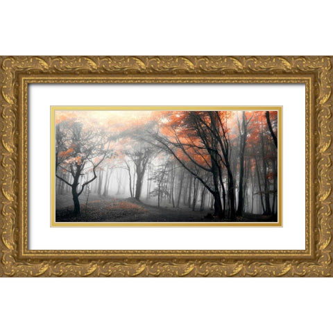 Autumn Woods Gold Ornate Wood Framed Art Print with Double Matting by PhotoINC Studio