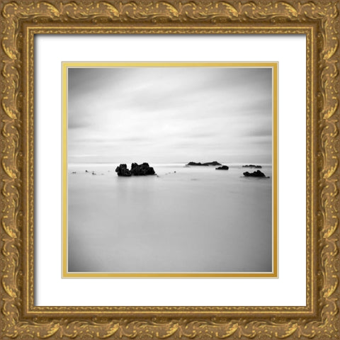 Beach Gold Ornate Wood Framed Art Print with Double Matting by PhotoINC Studio