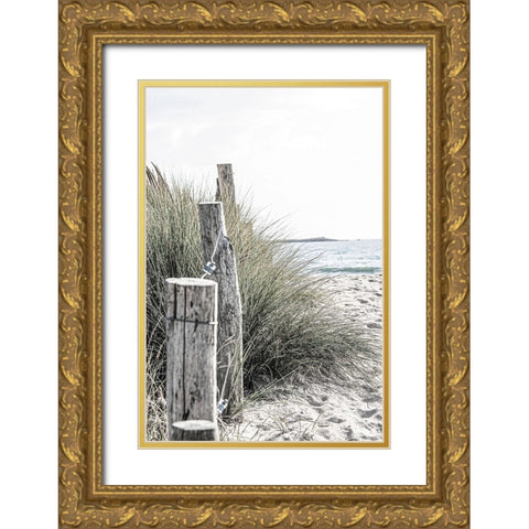 Coastal V Gold Ornate Wood Framed Art Print with Double Matting by Incado