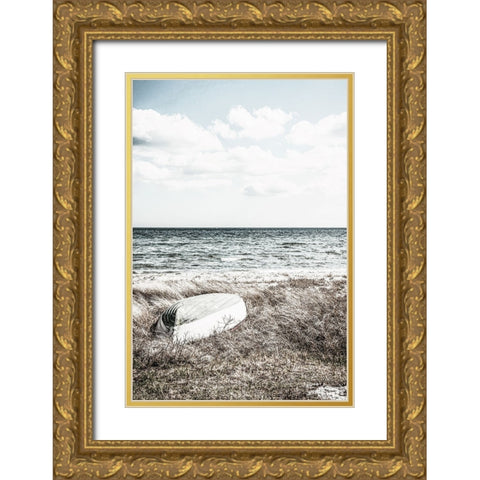Coastal I Gold Ornate Wood Framed Art Print with Double Matting by Incado