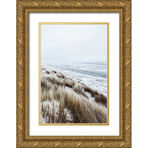 Coastal II Gold Ornate Wood Framed Art Print with Double Matting by Incado