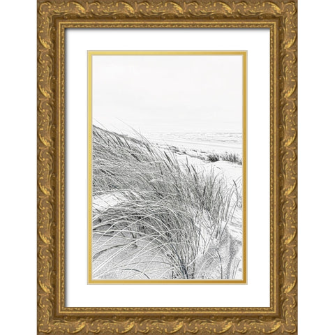 Coastal III Gold Ornate Wood Framed Art Print with Double Matting by Incado
