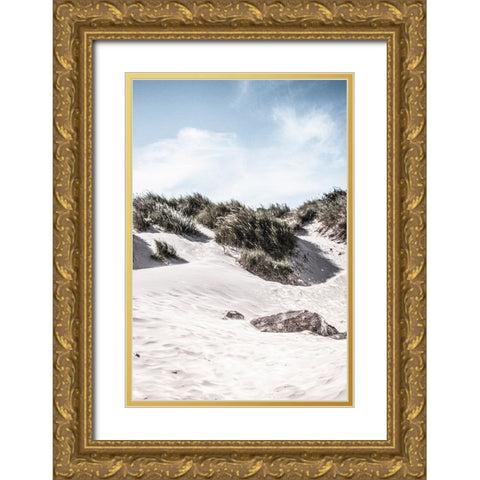 Coastal IV Gold Ornate Wood Framed Art Print with Double Matting by Incado