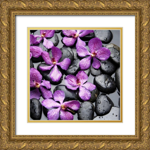 Zen Pebbles Gold Ornate Wood Framed Art Print with Double Matting by PhotoINC Studio