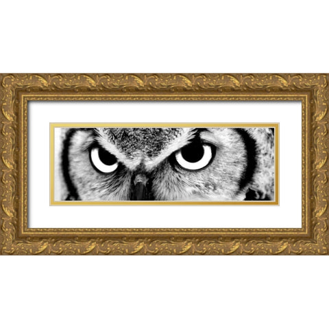 Owl Gold Ornate Wood Framed Art Print with Double Matting by PhotoINC Studio