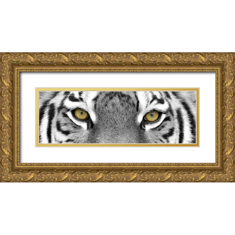 Tiger Gold Ornate Wood Framed Art Print with Double Matting by PhotoINC Studio