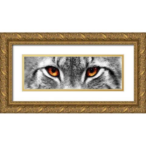 Lynx Gold Ornate Wood Framed Art Print with Double Matting by PhotoINC Studio