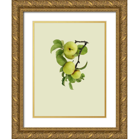 Apple tree I Gold Ornate Wood Framed Art Print with Double Matting by Incado