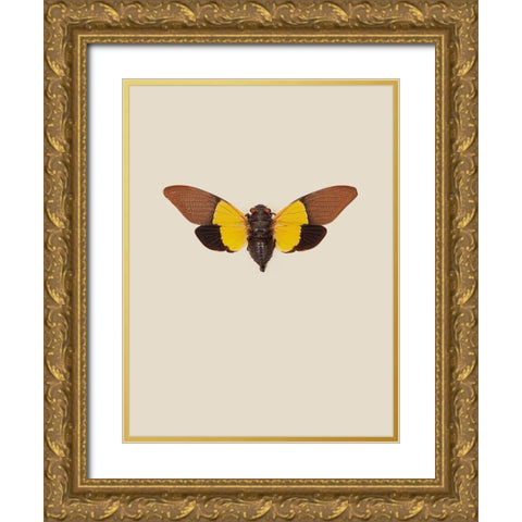 Cicada Gold Ornate Wood Framed Art Print with Double Matting by Incado