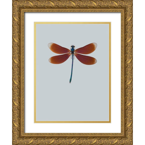 Dragonfly II Gold Ornate Wood Framed Art Print with Double Matting by Incado
