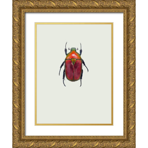 Torynorrhina Flammea Gold Ornate Wood Framed Art Print with Double Matting by Incado
